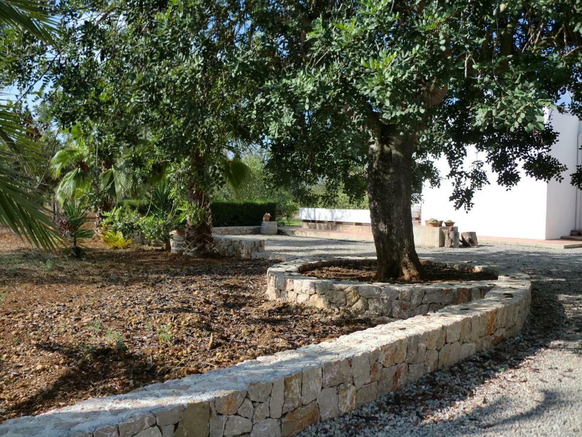 Villa Sa Vinyeta 圣洛伦索巴拉菲 外观 照片